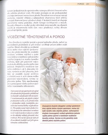 Náhled Naše dítě než se narodí... až se narodí