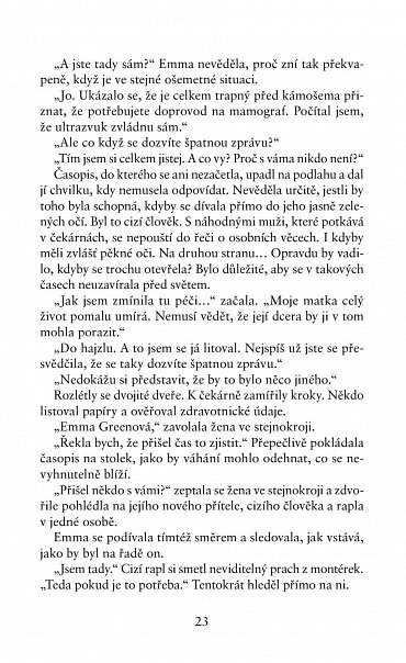 Náhled 99 dní s Tebou