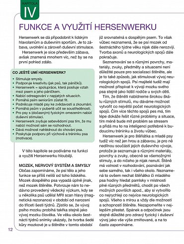 Náhled Hersenwerk pro psy - Psí hlavolamy