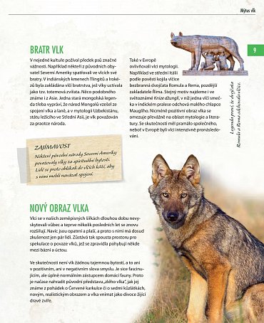 Náhled Vlci - Na toulkách s fotografem zvířat Axelem Gomillem