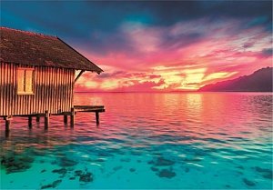 Puzzle Living the Present 500 dílků