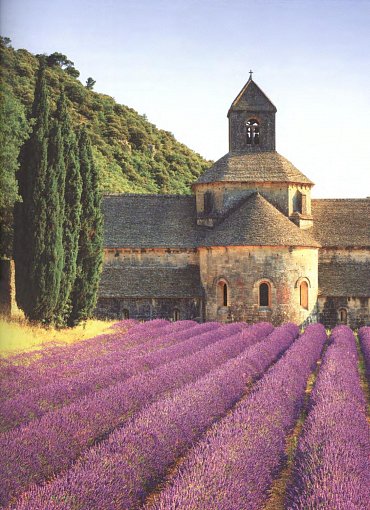 Náhled Levandule - Recepty, návody a tipy pro pěstování, výrobu domácí kosmetiky, tvoření dekorací a vaření s levandulí