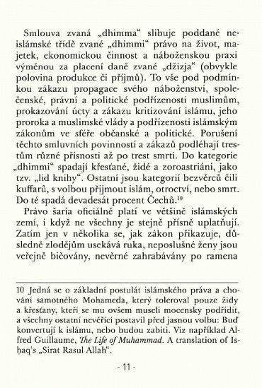 Náhled O islamizaci a demokracii v Egyptě