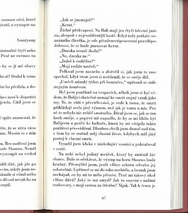 Náhled Muž, který chtěl být šťastný