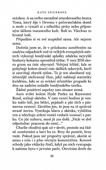 Náhled Ztratil se pes