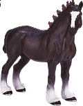 Shirský kůň figurka