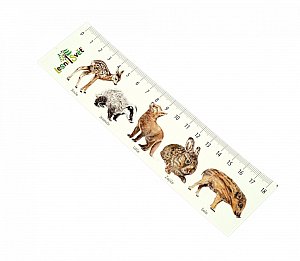 Papírová záložka s měřítkem - Mláďata