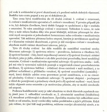 Náhled Buddhismus pro začátečníky