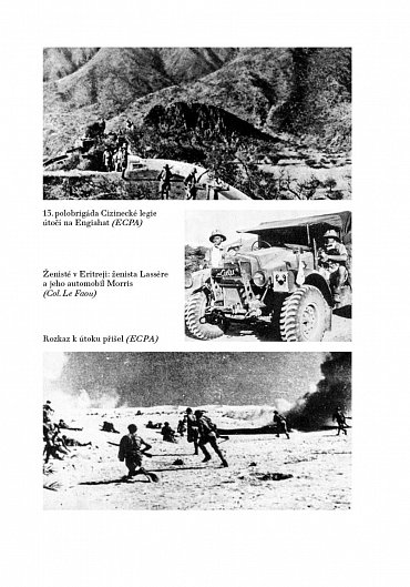 Náhled 1. divize Svobodné Francie