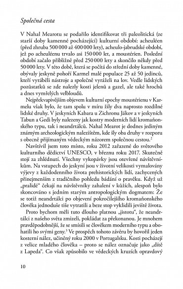 Náhled Medicína doby kamenné