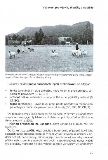 Náhled Pasení se psem - Sport, práce i zábava (nejen) pro každou borderku