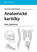 Anatomické kartičky