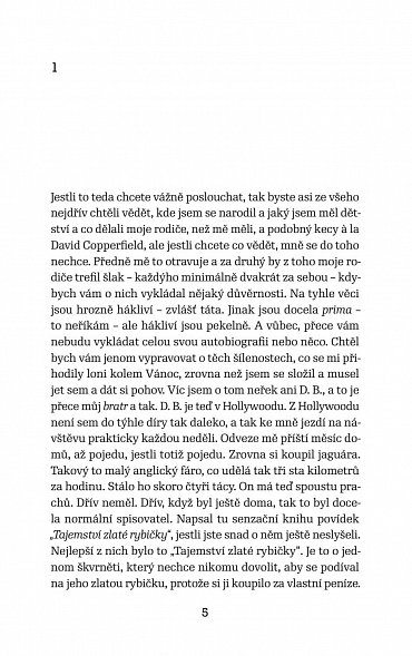 Náhled Kdo chytá v žitě