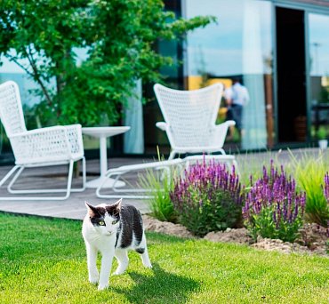 Náhled Live in Your Garden