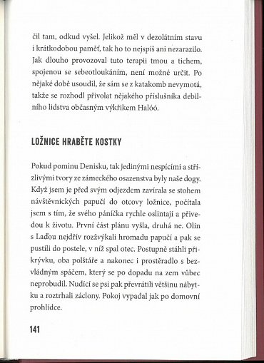 Náhled Aristokratka a vlna zločinnosti na zámku Kostka