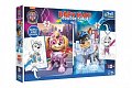 Puzzle MAXI oboustranné 2x10 dílků Hrdinští psi Tlapková patrola/Paw patrol v krab. 40x27x6cm 24m+