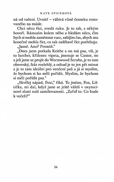 Náhled Ztratil se pes