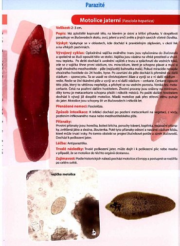 Náhled Parazité - Naučná karta