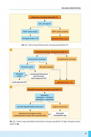 Náhled Sarkomy měkkých tkání