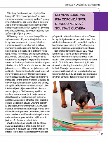 Náhled Hersenwerk pro psy - Psí hlavolamy