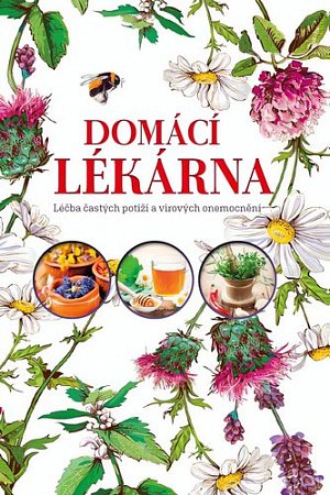 Domácí lékárna - Léky a přírodní alternativní prostředky podporující prevenci a léčbu častých potíží