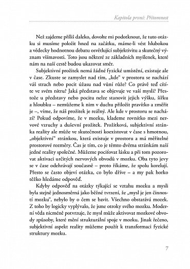 Náhled Všímavý terapeut - Vnitřní nazírání a nervová integrace - příručka pro klinickou praxi