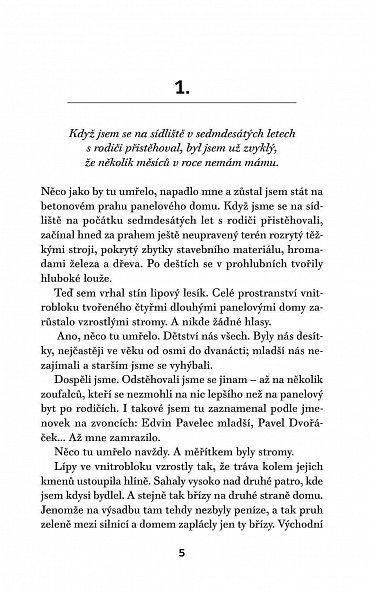 Náhled Poslední stanice Hamburk