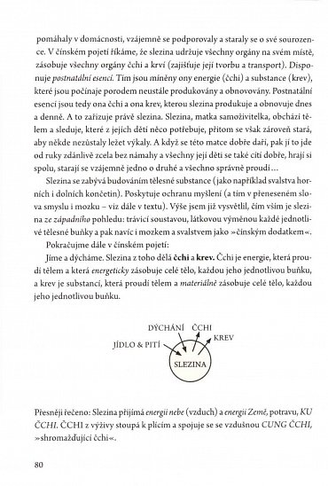 Náhled Tradiční čínská medicína pro pacienty i lékaře