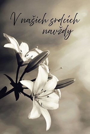 Přání K - Kondolence 1