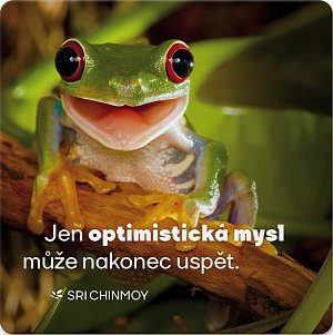 Korkový podtácek s citátem "Jen optimistická mysl může nakonec uspět"