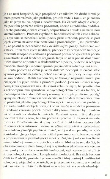 Náhled Moudrost cítění - Jak pracovat s emocemi s využitím poznatků buddhismu a západní psychologie
