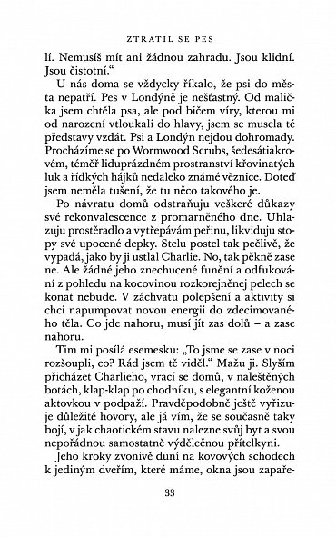 Náhled Ztratil se pes