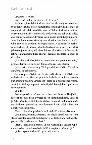 Náhled Šikmý kostel - Románová kronika ztraceného města, léta 1894-1921