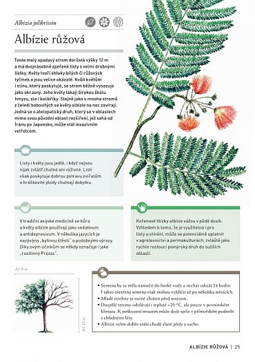 Náhled Pozoruhodný svět stromů