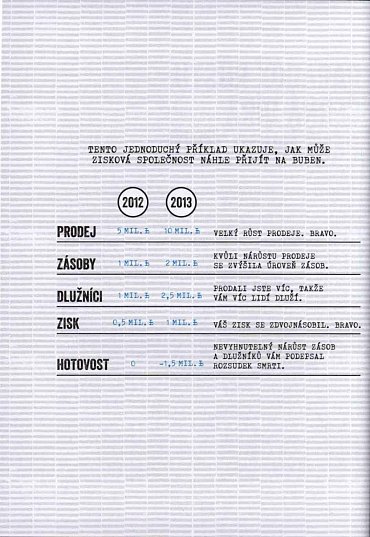 Náhled Punkové podnikání - Proti všem pravidlům