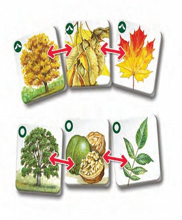 Náhled Pexetrio - Stromy