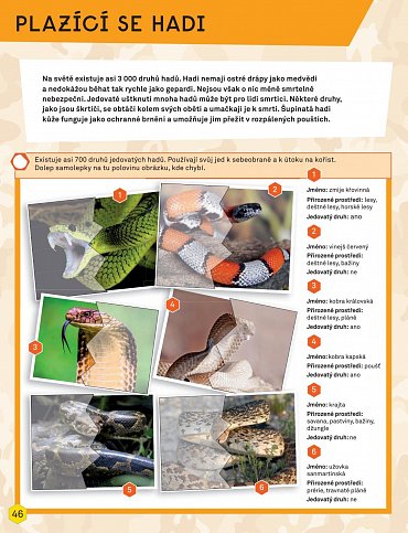 Náhled Velký sešit pro malé dobrodruhy