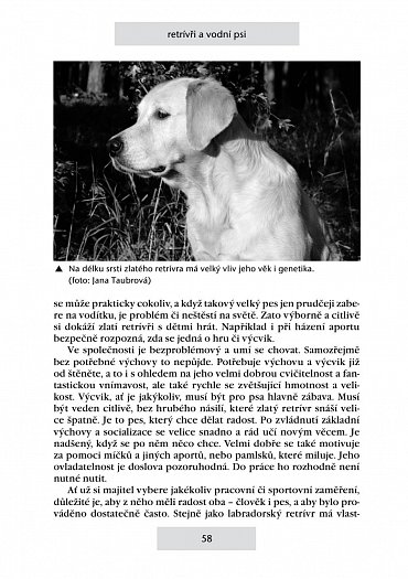 Náhled Retrívři a vodní psi