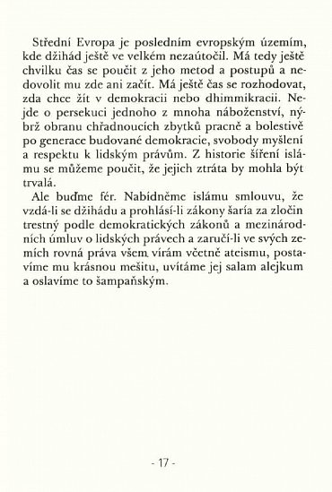 Náhled O islamizaci a demokracii v Egyptě