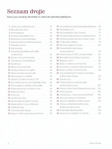 Náhled Stará Praha štětcem a objektivem