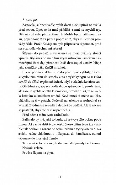 Náhled Na kočku a na myš