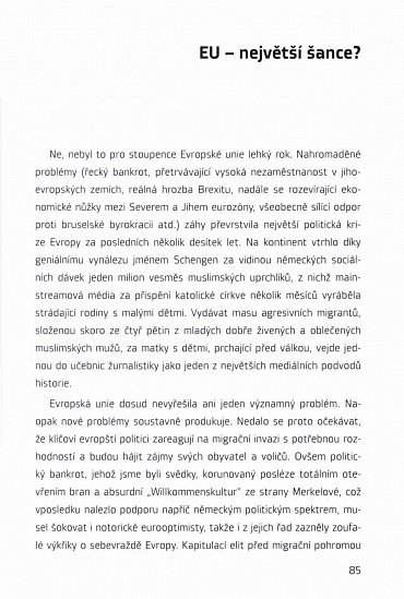 Náhled Jeden rok konzervativní publicistiky