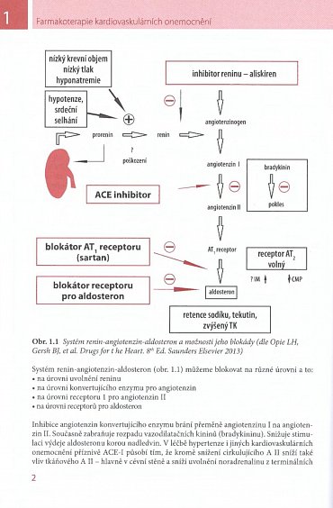 Náhled Farmakoterapie kardiovaskulárních onemocnění