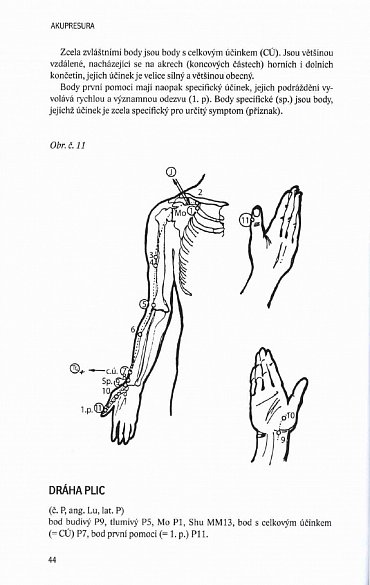 Náhled Akupresura a přírodní prostředky v první pomoci některých náhlých stavů a onemocnění