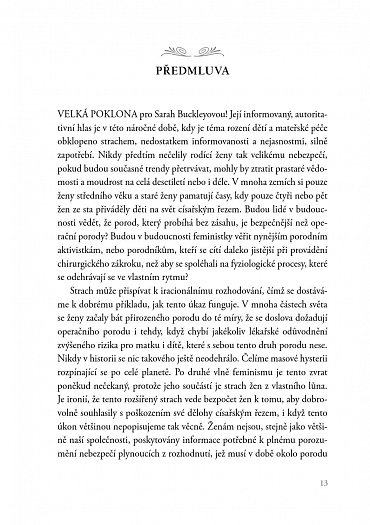 Náhled Jemný porod, jemné mateřství - Lékařský průvodce přirozeným porodem a rozhodováním v raném rodičovství