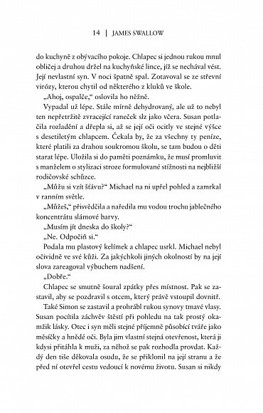 Náhled Stín, 1.  vydání