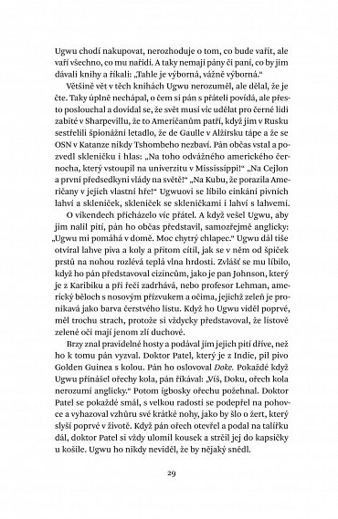 Náhled Půl žlutého slunce, 2.  vydání