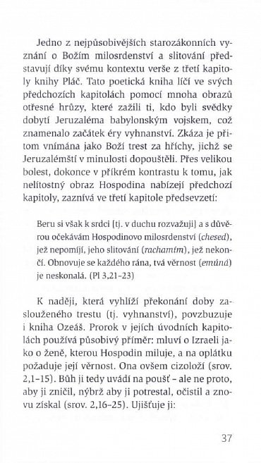 Náhled Bůh milosrdný, nebo trestající?