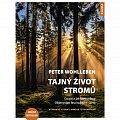 Tajný život stromů - Co cítí a jak komunikují