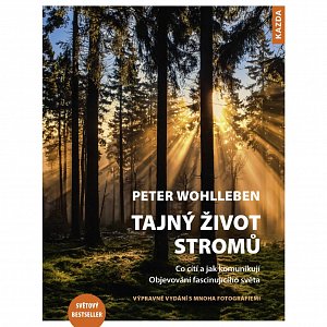 Tajný život stromů - Co cítí a jak komunikují